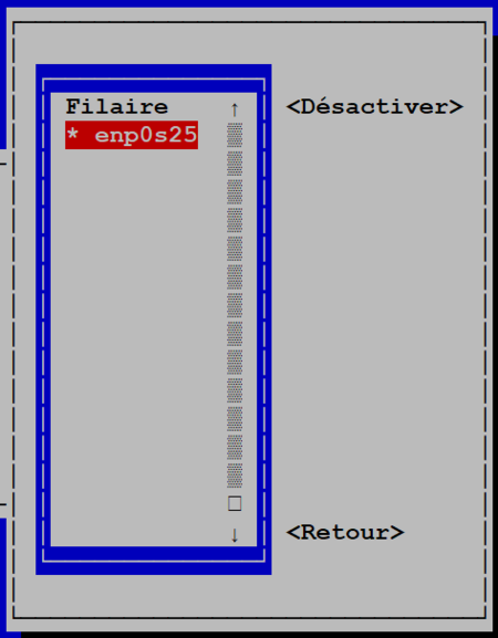 LINUX:Nmtui.activer.2.png